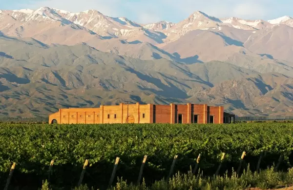 Trabajar en una bodega mendocina? As son los nuevos perfiles que buscan (y sorprenden)