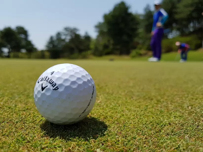 golf, pelota de golf, golfistas