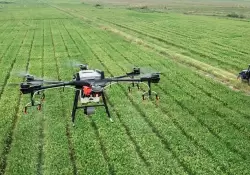 Cmo es la tecnologa con IA que promete mejorar la agricultura de precisin en la Argentina y el mundo