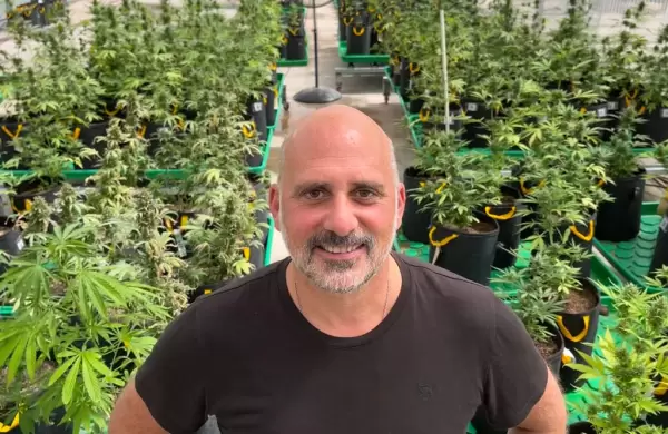 Cultivo local: una radiografa de la industria cannbica en la Argentina