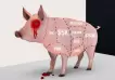 Matanza de cerdos: Así es la desgarradora historia de la súper estafa crypto por la que un hombre perdió un millón de dólares