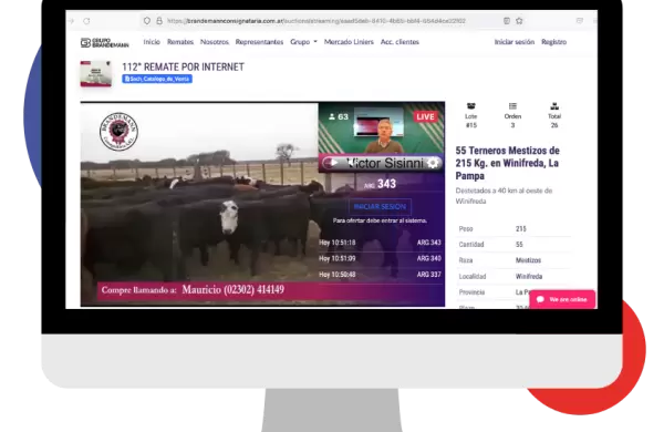 Subastan online y no paran de crecer: cmo funciona Bidbit