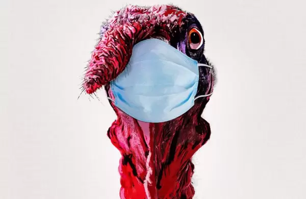 La extraña razón por la que peligra el "Acción de Gracias" en EE.UU.