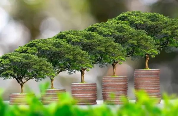 Cinco lecciones financieras para aplicar en 2023