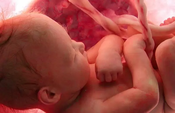 Avances en medicina reproductiva: la inteligencia artificial podría revolucionar los tratamientos de fertilidad