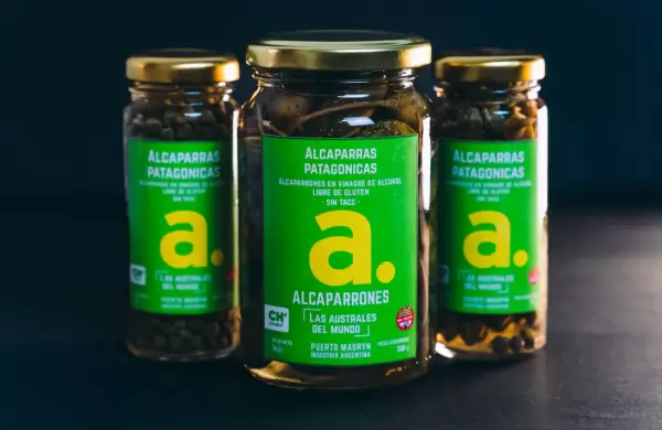 Cómo es el proyecto de producción de alcaparras más austral del mundo