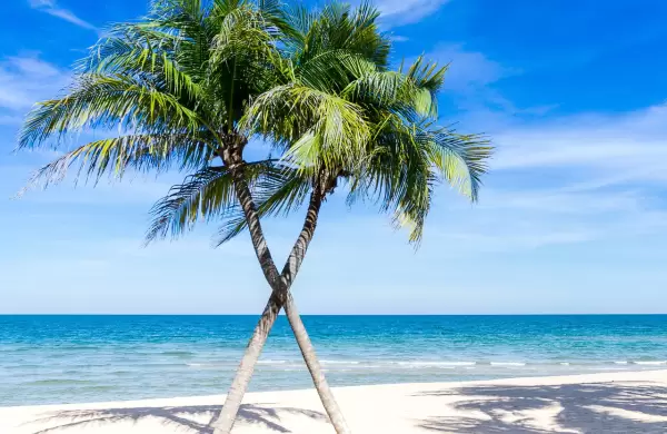 Llega una nueva edicin de FIT, la feria de turismo ms importante de la regin: cundo es y qu hay en agenda