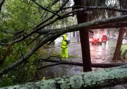 El huracn Ian podra ser la tormenta ms mortfera de Florida en aos