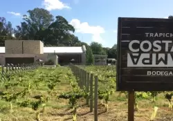 El cierre del 58 Coloquio de IDEA ser en la bodega Costa & Pampa de Trapiche