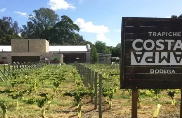 El cierre del 58 Coloquio de IDEA ser en la bodega Costa & Pampa de Trapiche