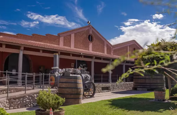 Cmo es el plan de la centenaria bodega Graffigna, la tercera ms antigua del pas, para renovar su imagen