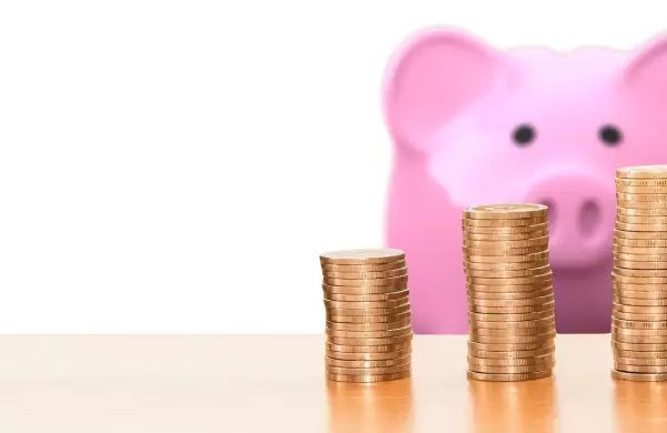 Menos es ms: cmo aplicar el minimalismo a tus finanzas para prosperar sin complicaciones