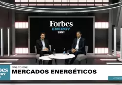 "La demanda global de energa va a seguir creciendo y Argentina puede ser un proveedor mundial de peso"