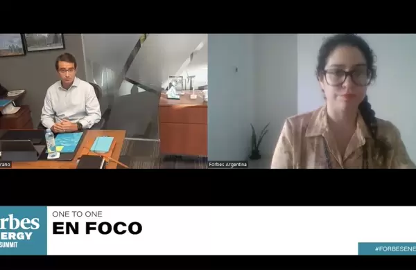 "La complementacin del gas y las renovables harn ms competitiva a la industria y a sus exportaciones"