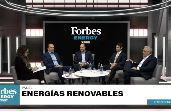 Las renovables enfrentan desafos locales para aprovechar oportunidades globales