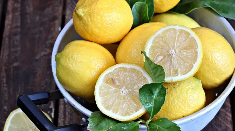 limon-citrus-zheltyy-2048x1341