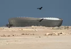 Qatar 2022: En la recta final, el impacto ambiental del Mundial abre una nueva polmica