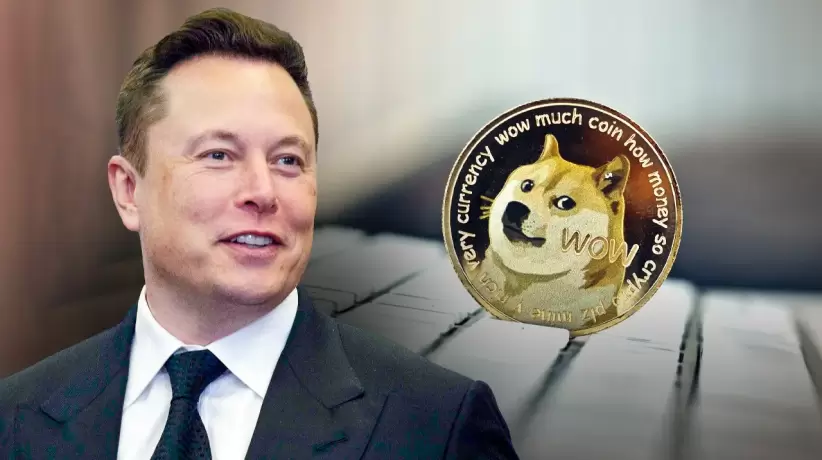 Elon Musk, Dogecoin