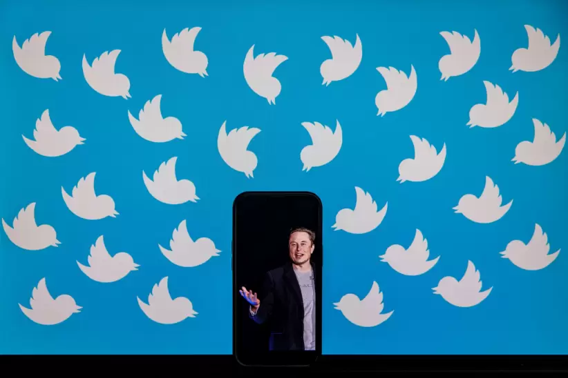 Twitter, Twitter Blue, redes sociales, Elon Musk