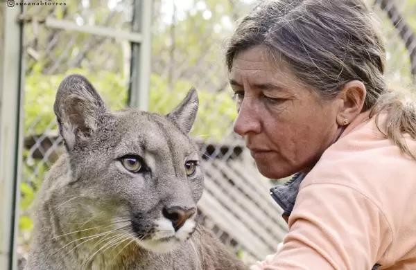 Quién es la emprendedora que protege pumas y busca cambiar la relación con la naturaleza