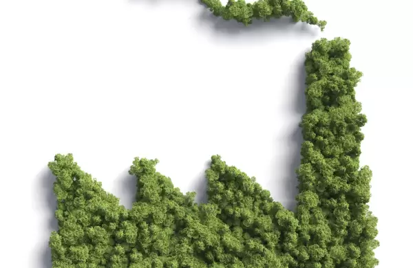 El consumo online de productos sustentables creció 20% en último año en la Argentina
