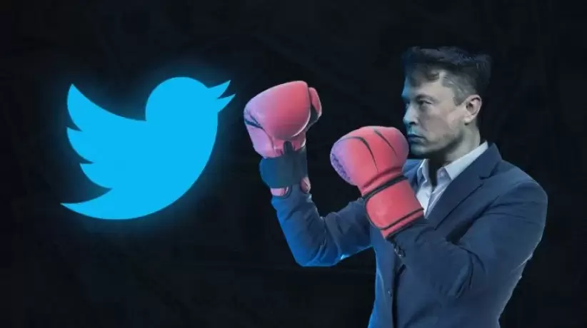 Elon Musk con guantes de boxeo