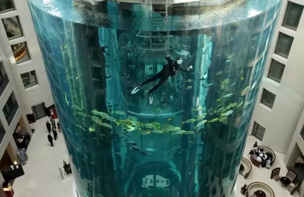 Videos: Enorme acuario con 1.500 peces explota en un famoso hotel de Berln