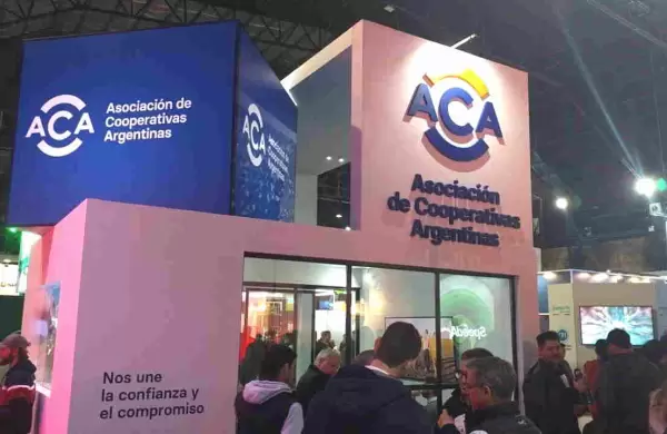 Cules son las cuatro cooperativas argentinas que se metieron entre las mejores del mundo