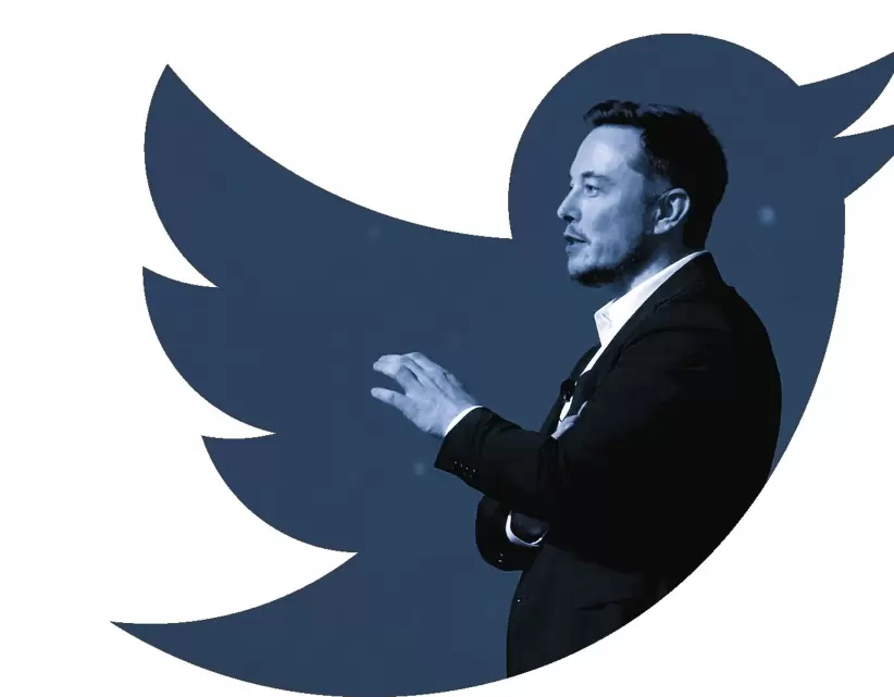 Elon Musk, Twitter, Bots