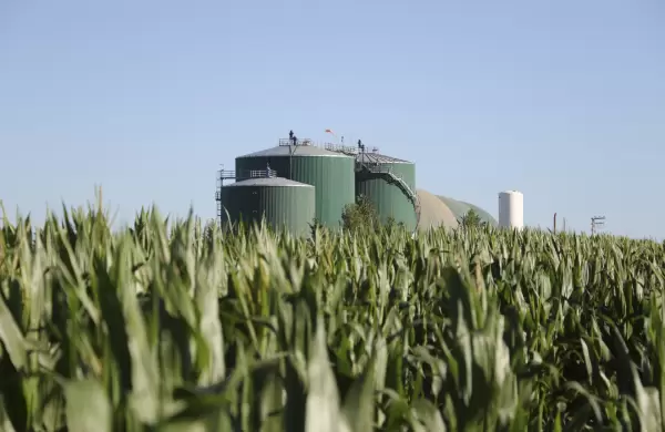 Por qu el de los biocombustibles es el sector olvidado de la industria energtica argentina