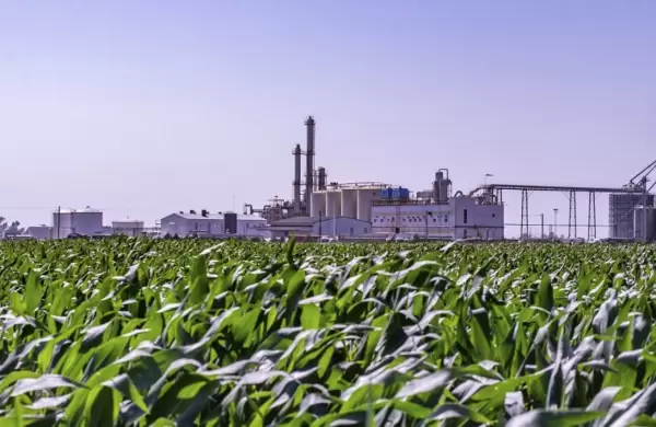 Los productores de biodiesel piden un aumento del 30% y van a un paro que pone en riesgo el abastecimiento de gasoil