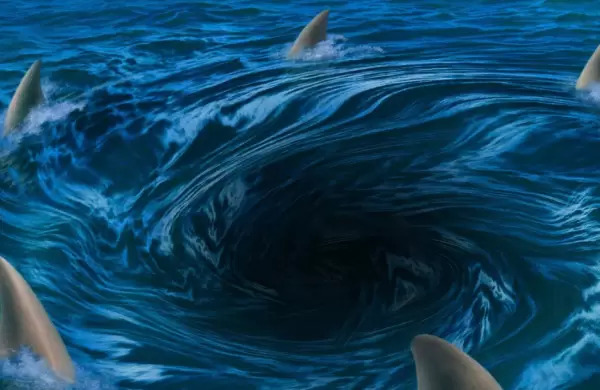 Estos son los verdaderos ganadores en el mundo "Shark Tank"