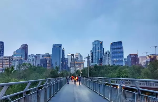 Cmo los lderes empresariales pueden acelerar la transicin ecolgica