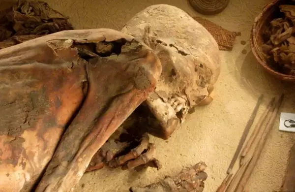 Descubren con qu materiales los egipcios momificaban a sus muertos para mantenerlos intactos