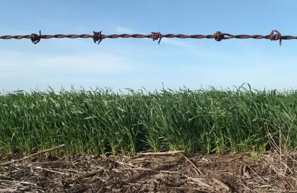 En el arranque del año, los precios de los agroalimentos se incrementaron 3,5 veces desde el campo a la góndola