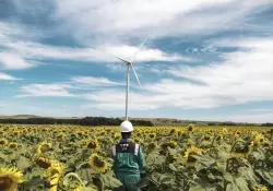 El negocio de alquilar campos para parques eólicos: un game changer para los productores del agro