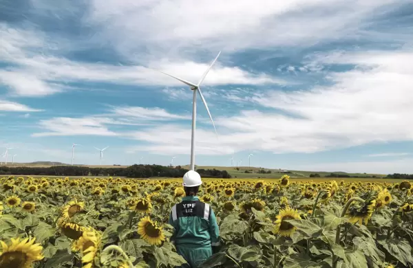El negocio de alquilar campos para parques elicos: un game changer para los productores del agro