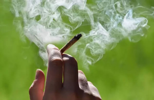 Por qu el consumo de marihuana podra aumentar el riesgo cardaco