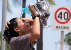 La Argentina bajo fuego: Por qu las olas de calor se cuadruplicaron en los ltimos aos