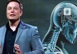 Elon Musk, Steve Wozniak, Yuval Harari y ms de 1000 expertos piden una pausa en la inteligencia artificial por "grandes riesgos para la humanidad"