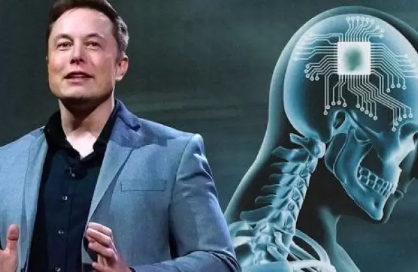 Elon Musk, Steve Wozniak, Yuval Harari y ms de 1000 expertos piden una pausa en la inteligencia artificial por "grandes riesgos para la humanidad"