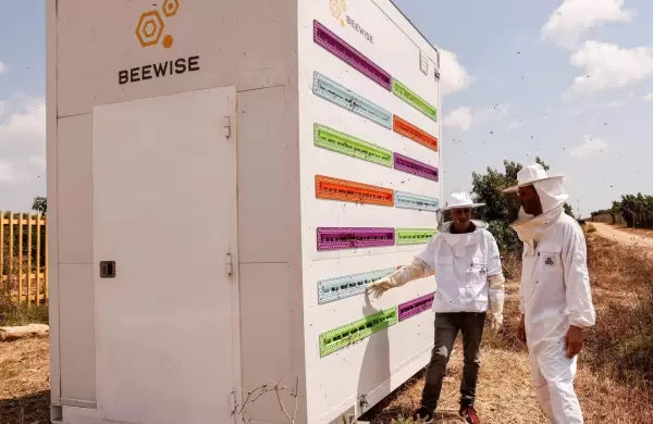 Colmenas robticas, drones cultivadores y tractores autnomos: la tecnologa que se impone en el agro