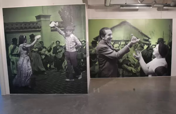 Walt Disney latinoamericano: as es la exposicin que muestra a un pato Donald con boleadoras