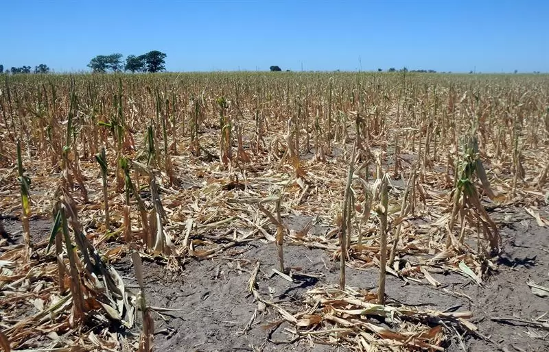 Sequía en la Argentina.