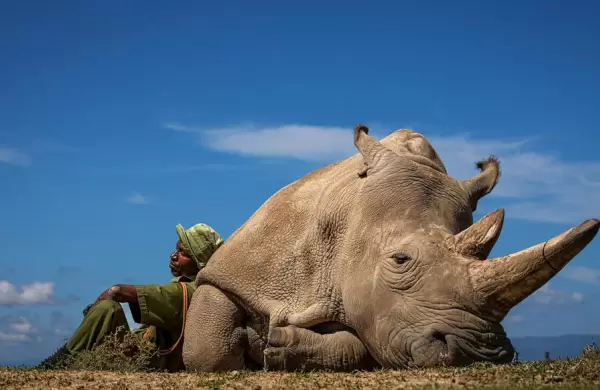 Mejor Fotgrafo de Viajes del ao: 22 imgenes inspiradoras