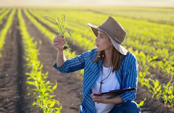 Así es la agricultura regenerativa, la solución sostenible que permite a los productores ganar un 30 % más