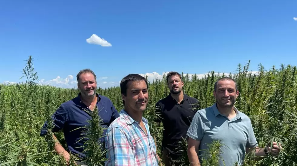 Fundadores de Industrial Hemp Solutions. De izq a derecha: Nikalai Baranoff, Jua