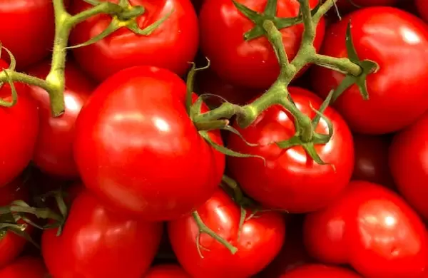 Trazabilidad, transparencia e impacto positivo: las demandas que crecen entre los consumidores al elegir cmo alimentarse