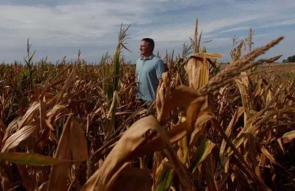 Estados Unidos proyecta un preocupante panorama sobre la produccin agrcola argentina