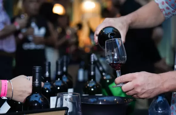 Estados Unidos compra un tercio del Malbec fraccionado argentino y el sector teme por los aranceles